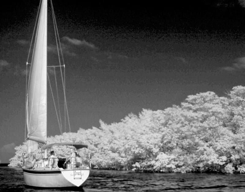 Sailing key largo