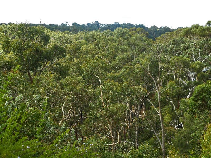 View from the balcony