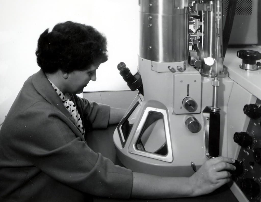 Corvallis, electronmicroscope, forestentomology