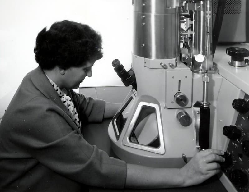 Corvallis, electronmicroscope, forestentomology