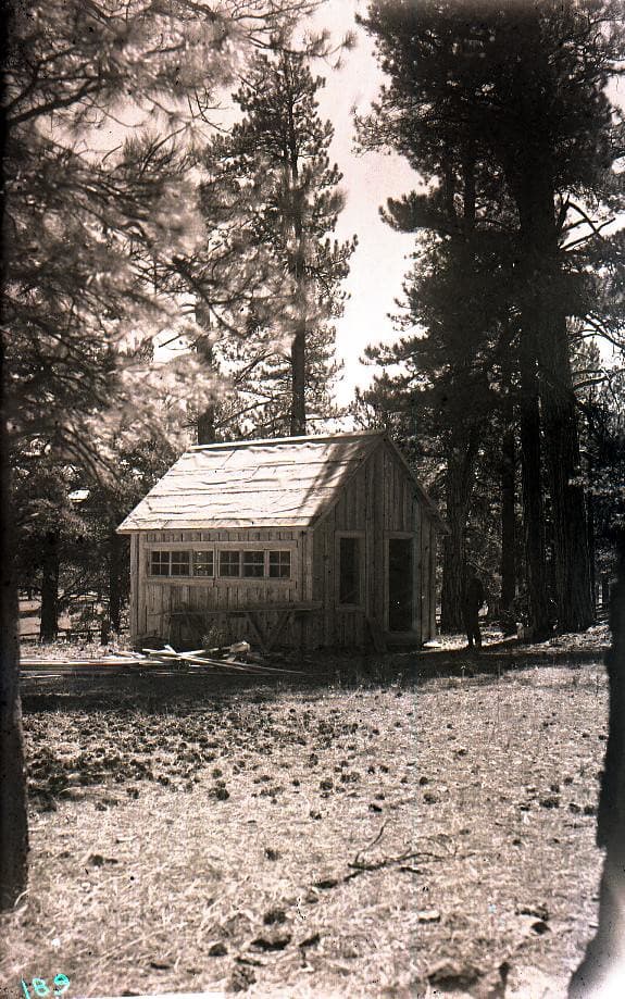 Arizona, bureauofentomology, controlproject