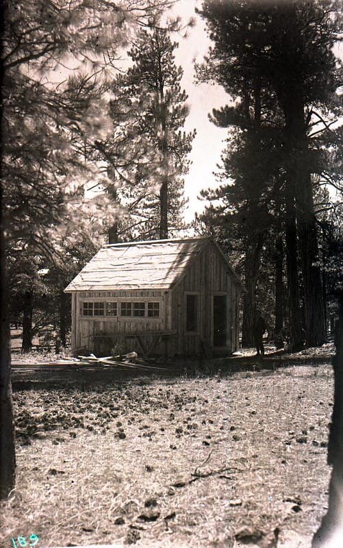 Arizona, bureauofentomology, controlproject