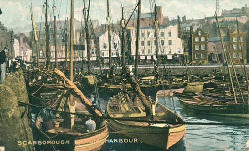Boat, boats, coast