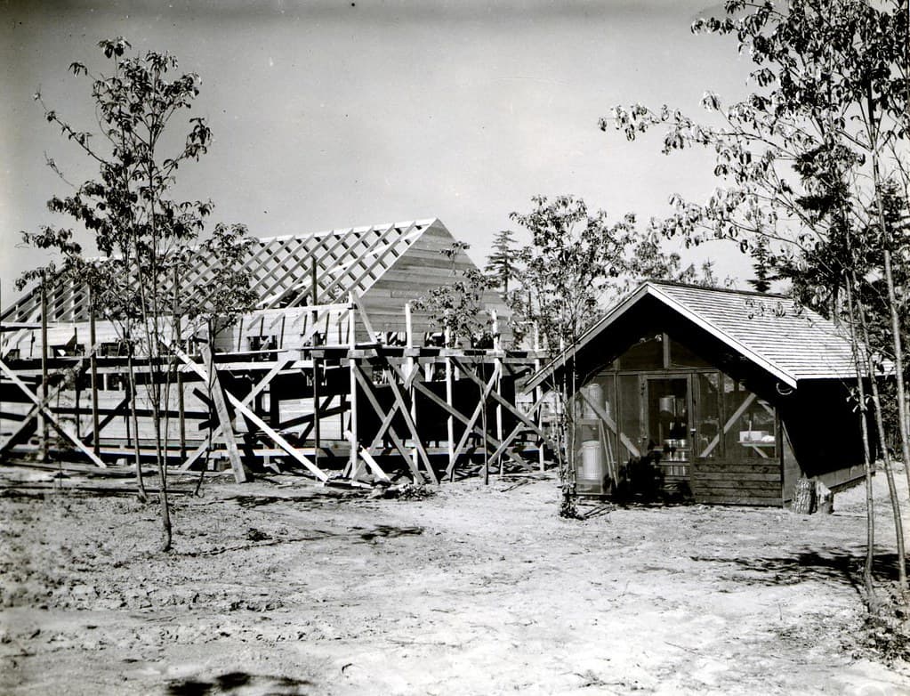Bepq, construction, forestentomology