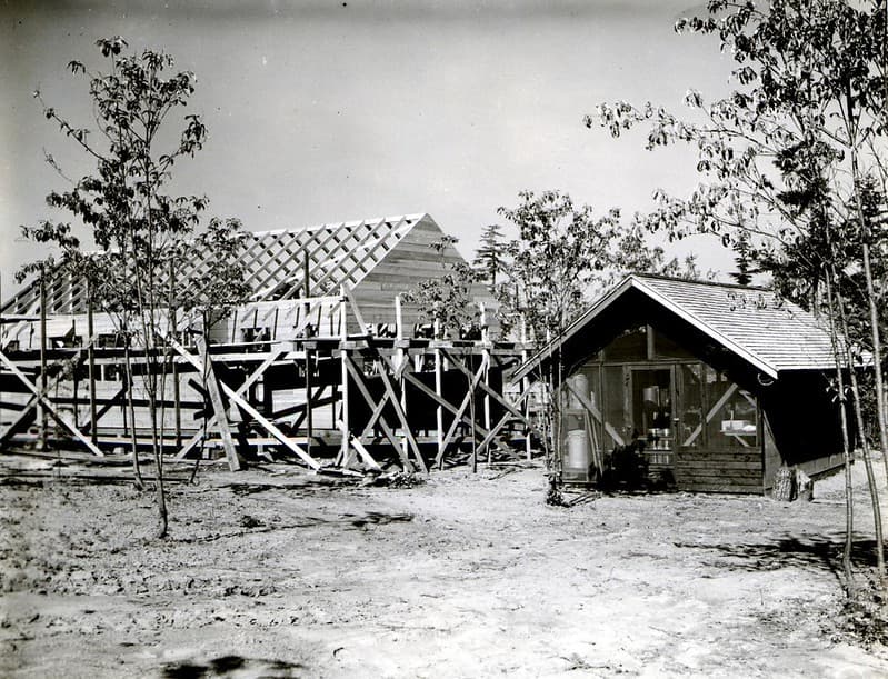 Bepq, construction, forestentomology