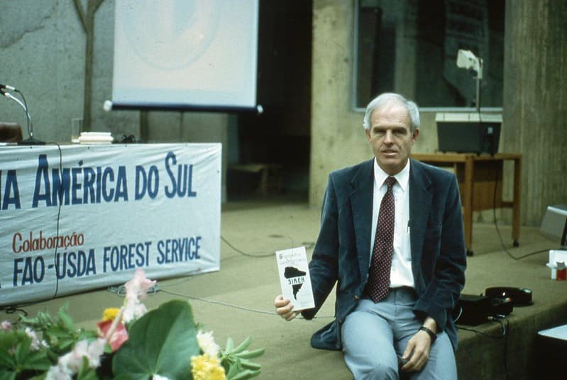 Brazil, director, europeanwoodwasp