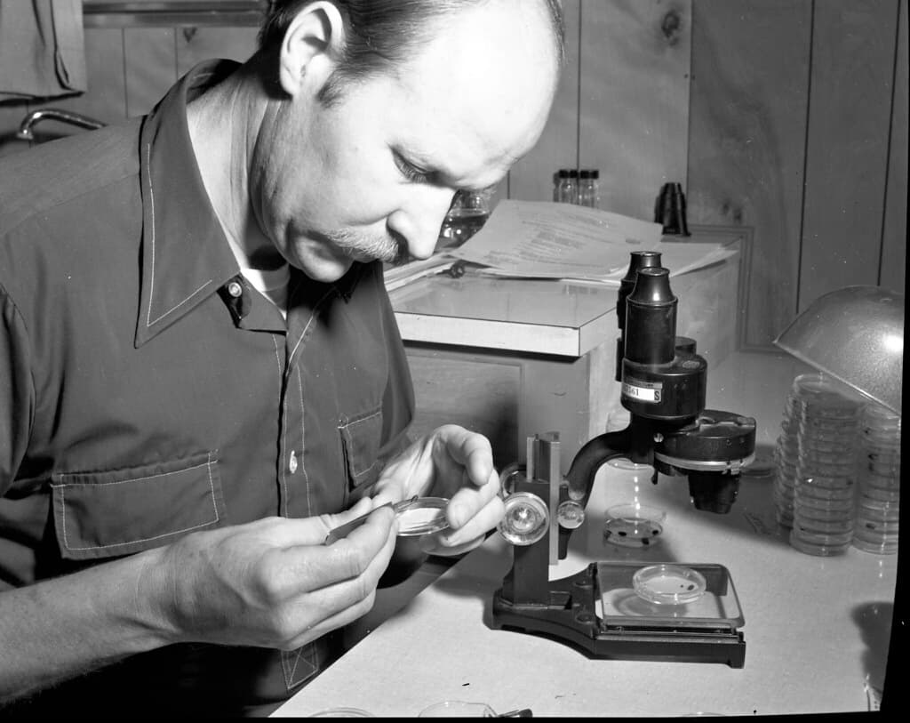 Controlproject, entomologist, forestentomology