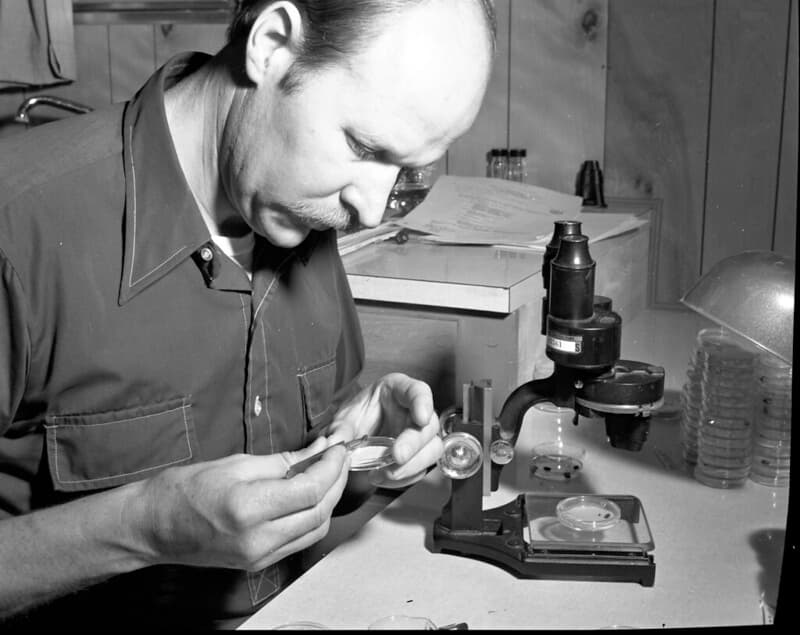 Controlproject, entomologist, forestentomology
