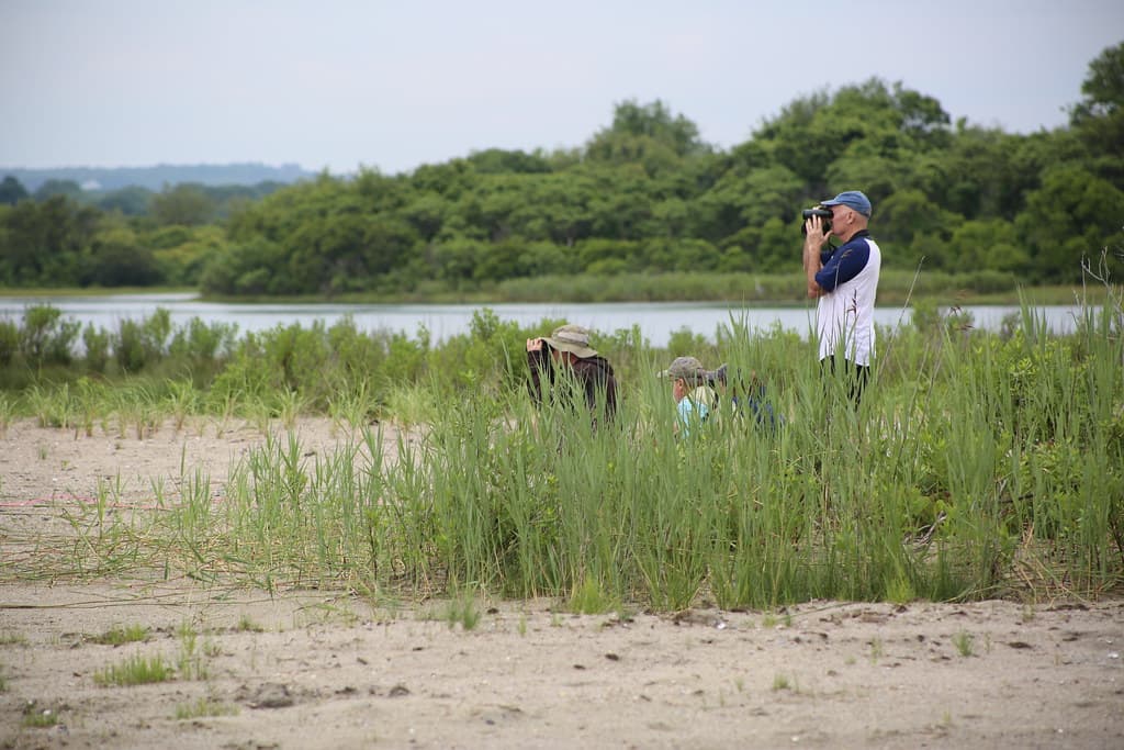 Piping plover monitoring at Ninigret National Wildlife Refuge