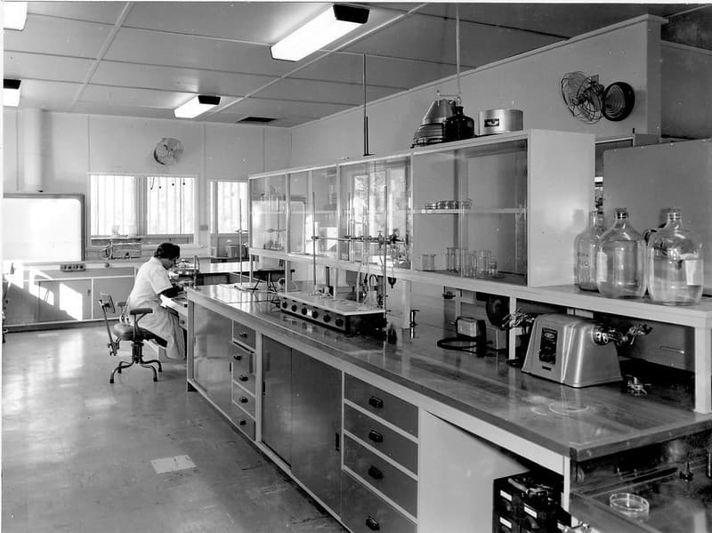 Agriculture and Stock Entomology Laboratory, Indooroopilly, June 1962