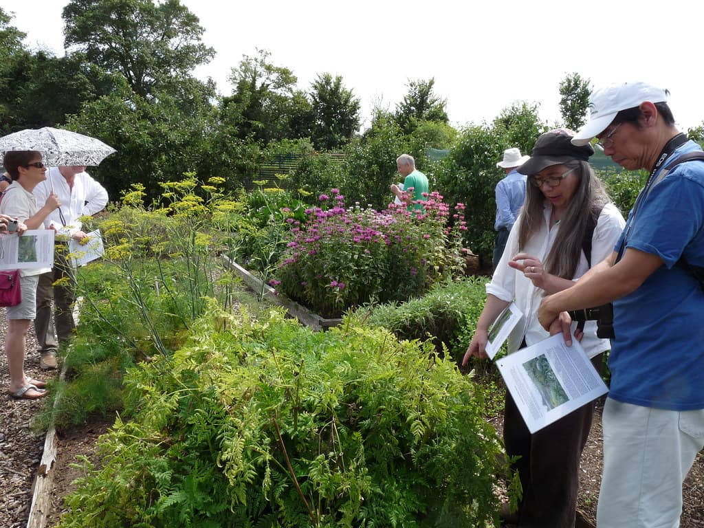 Organic kitchen garden, Lower Lovetts Farm (1)
