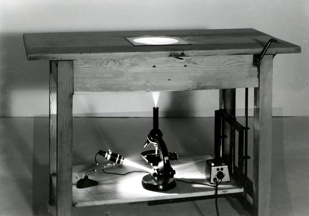Fhp, forestentomology, forestinsect