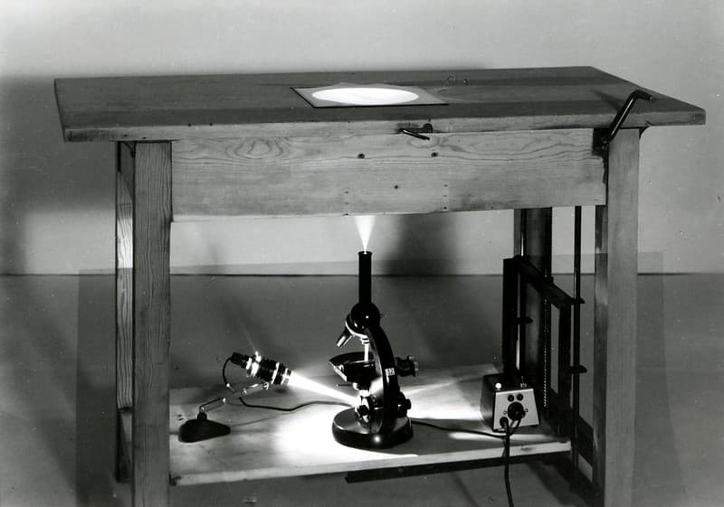 Fhp, forestentomology, forestinsect