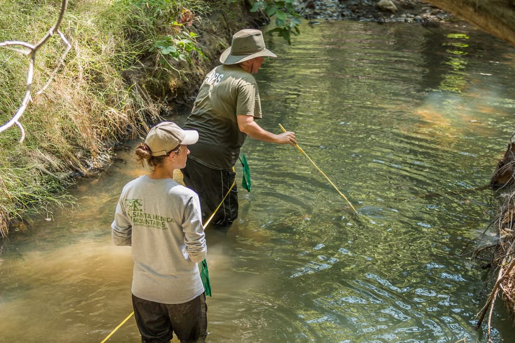Long Term Stream Monitoring