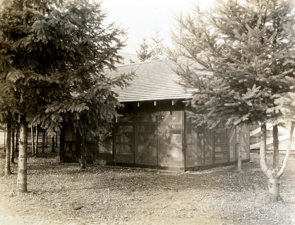 Bepq, bureauofentomology, experimentalforest