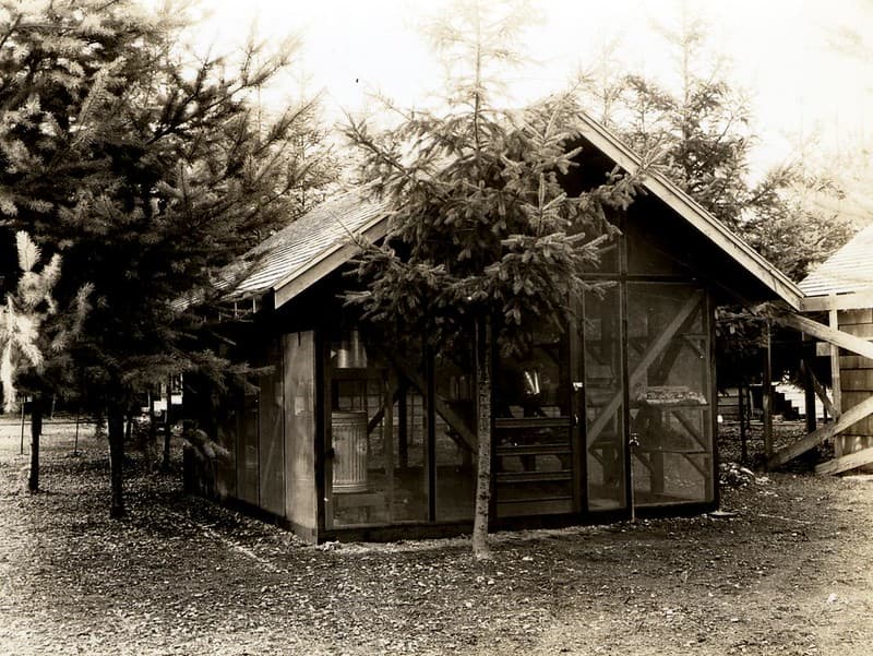 Bepq, bureauofentomology, experimentalforest