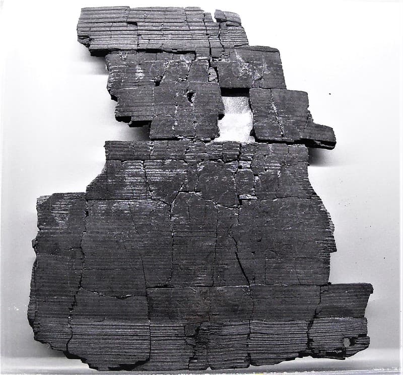 Archaeologicalmuseum, epigraphiccollection, herculaneum