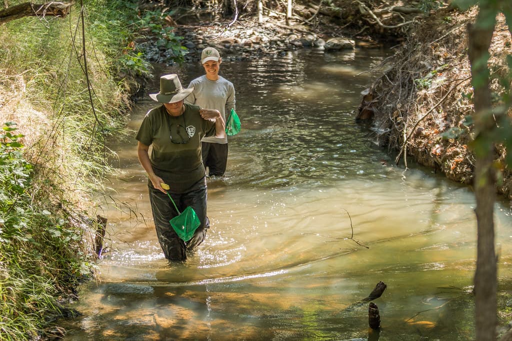 Long Term Stream Monitoring