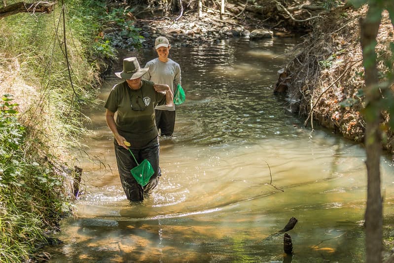 Long Term Stream Monitoring