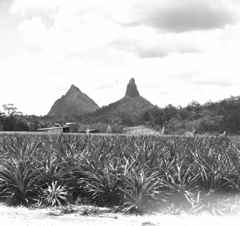 Glass House Mountains, December 1970
