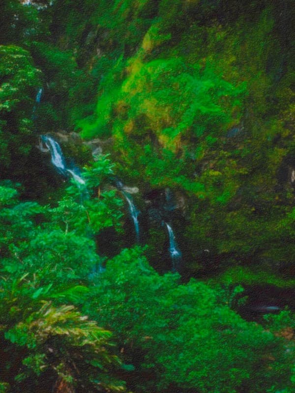 Waterfall on the way to hana