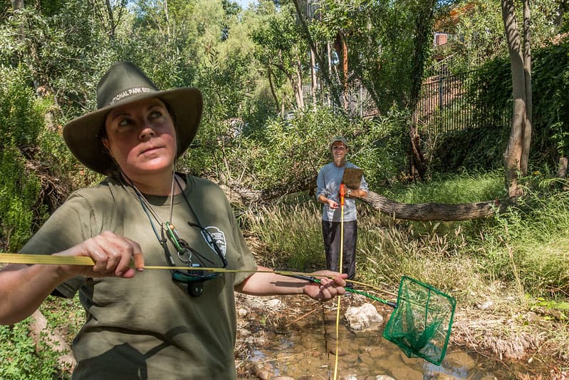 Long-Term Stream Monitoring