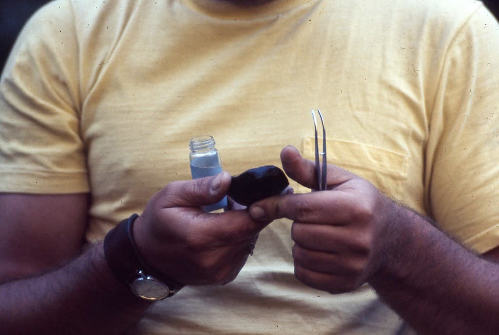 Aquaticlife, controlproject, ddt
