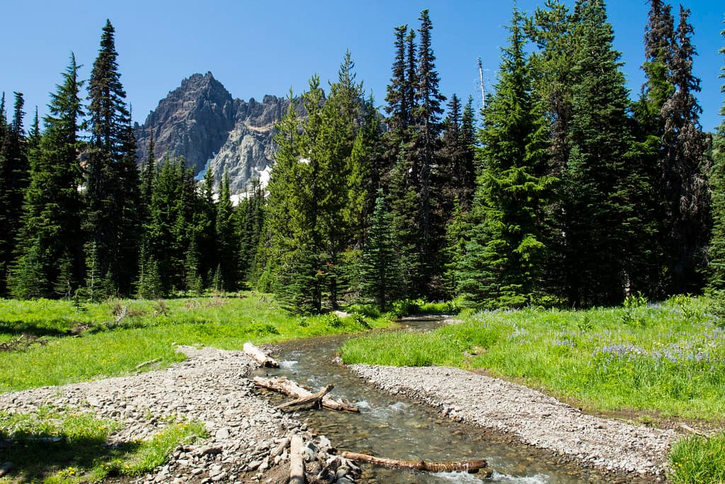 Canyon Creek, in the lower Canyon Creek Meadow, Oregon