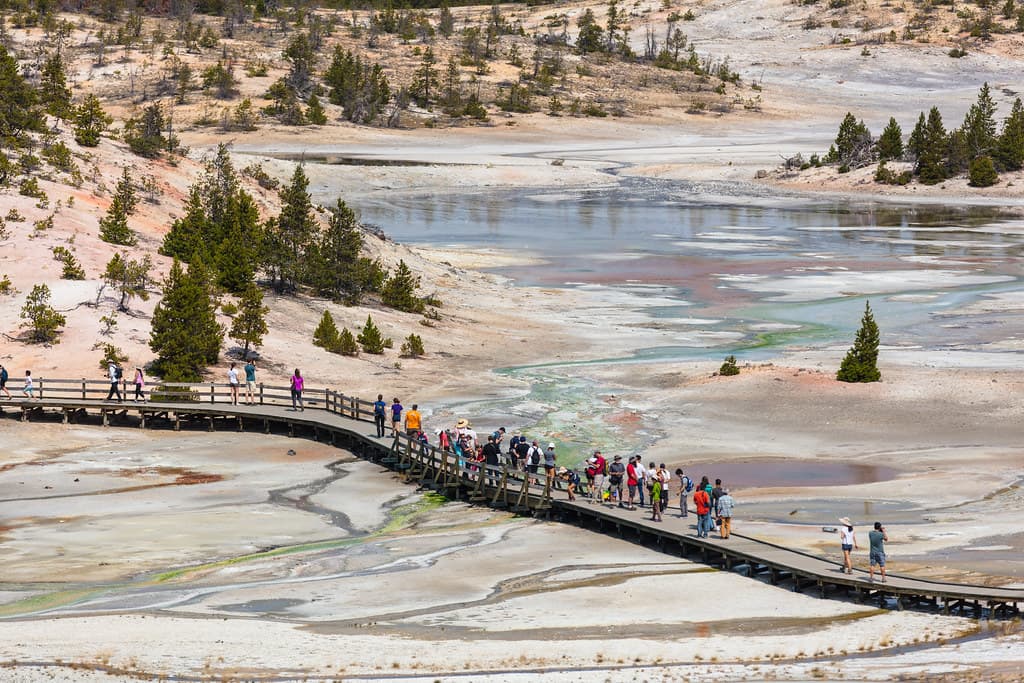 Norris Geyser Basin boardwalks and people