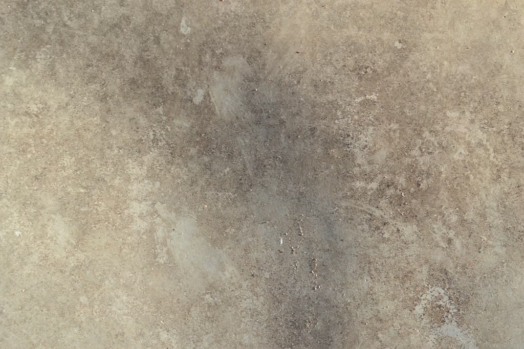 Texture