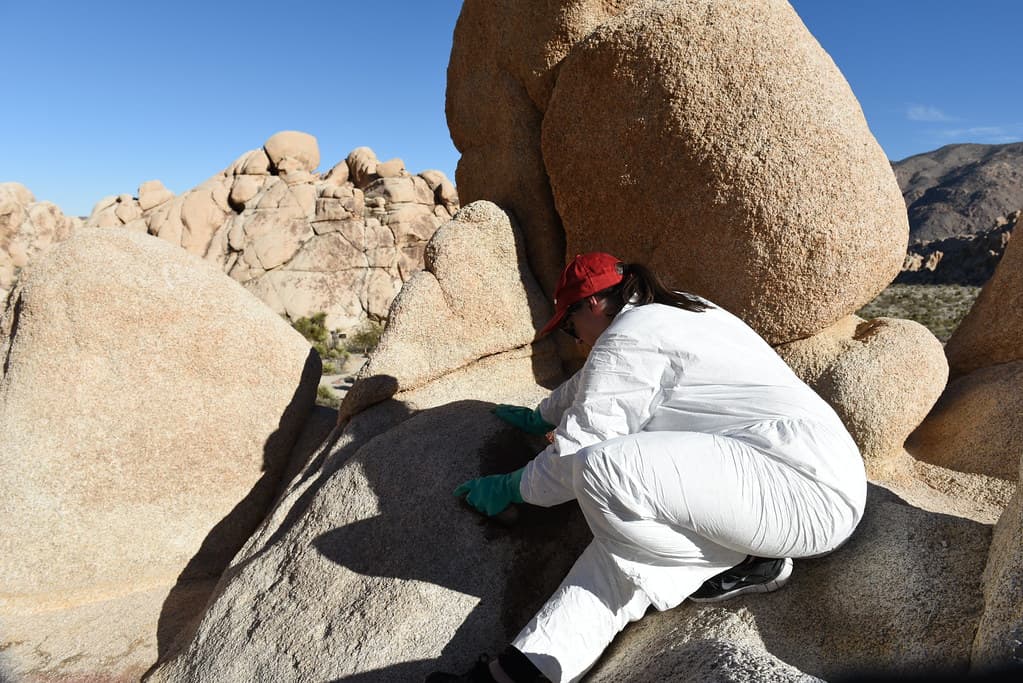 Graffiti Removal Day with Volunteers