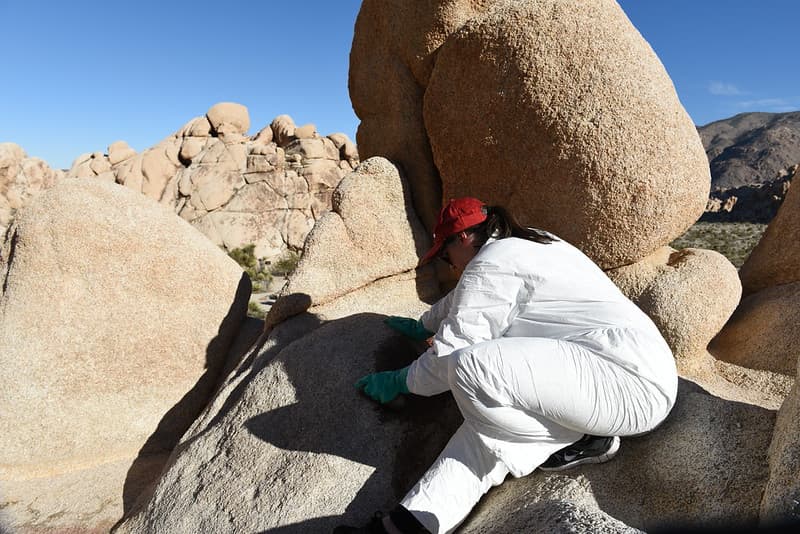 Graffiti Removal Day with Volunteers