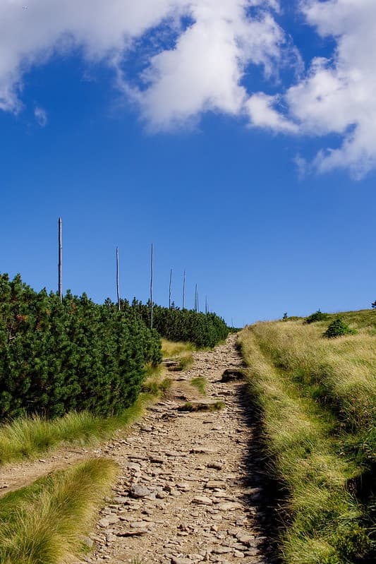 Path to mountain top