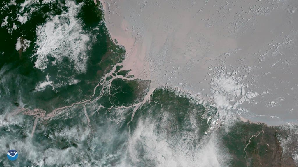 Amazonriver, bestof, coralreefs