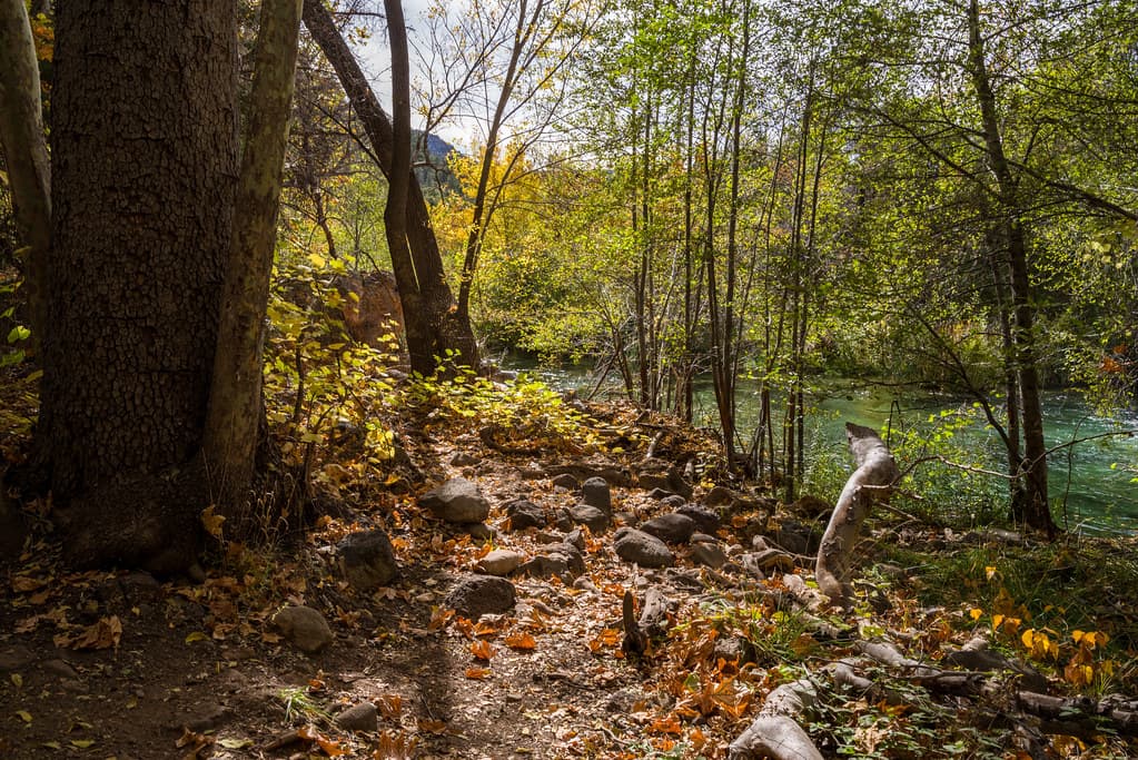Waterfall Trail (November 14, 2017)