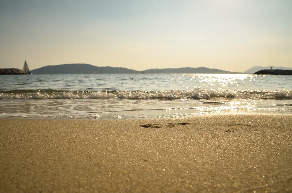 Ocean Waves on Sandy Seashore