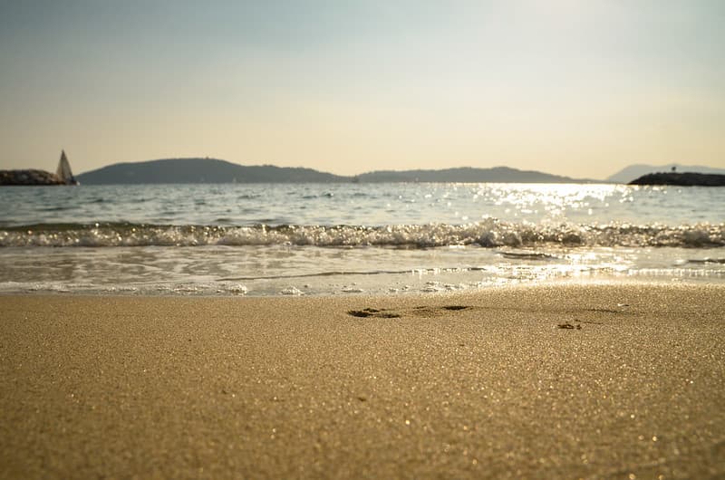 Ocean Waves on Sandy Seashore