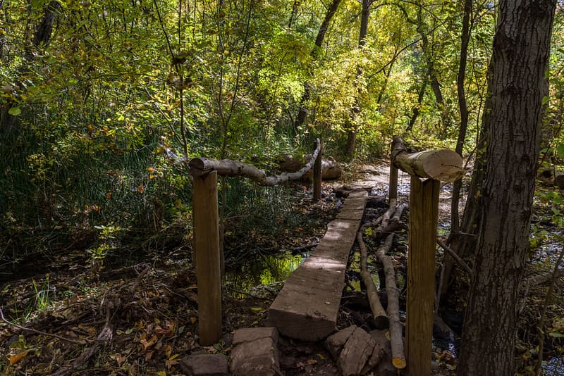 Waterfall Trail (November 14, 2017)