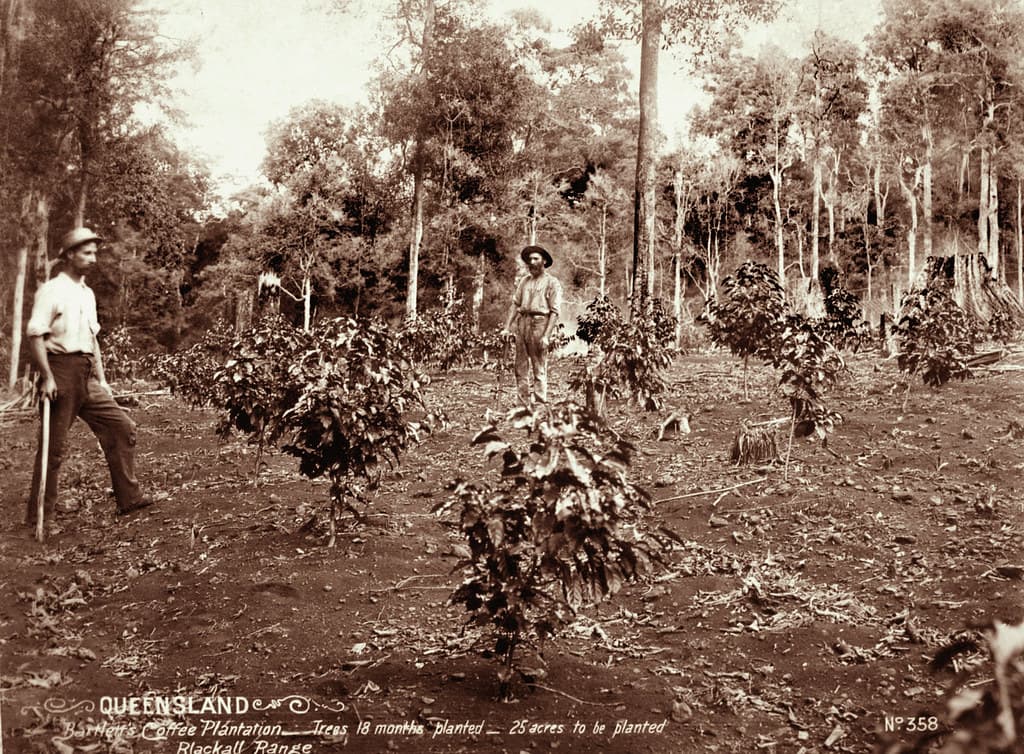 Agriculture, beards, blackallrange