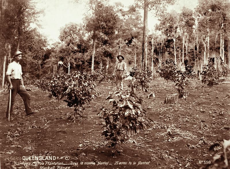 Agriculture, beards, blackallrange