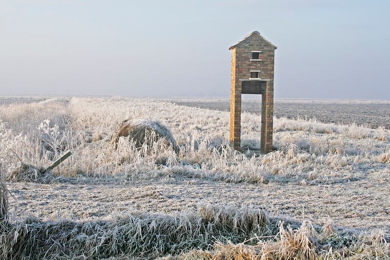 Owl Tower