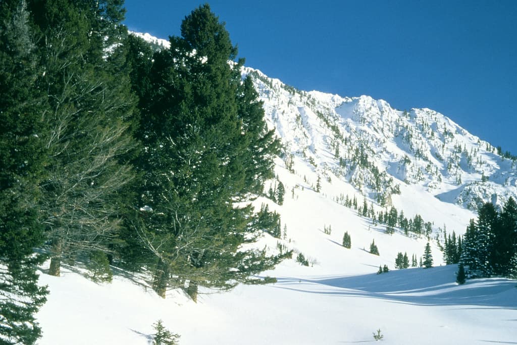 Snow Survey04