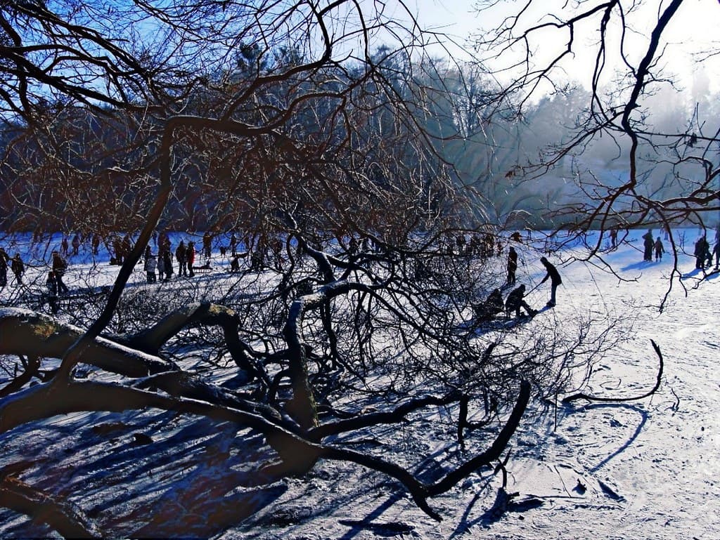 People on ice
