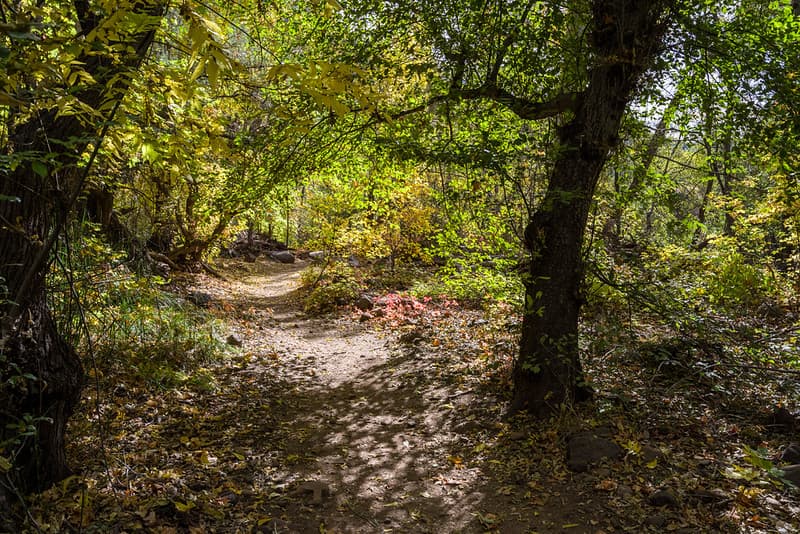 Waterfall Trail (November 14, 2017)