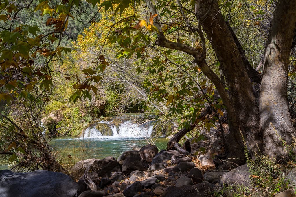 Waterfall Trail (November 14, 2017)