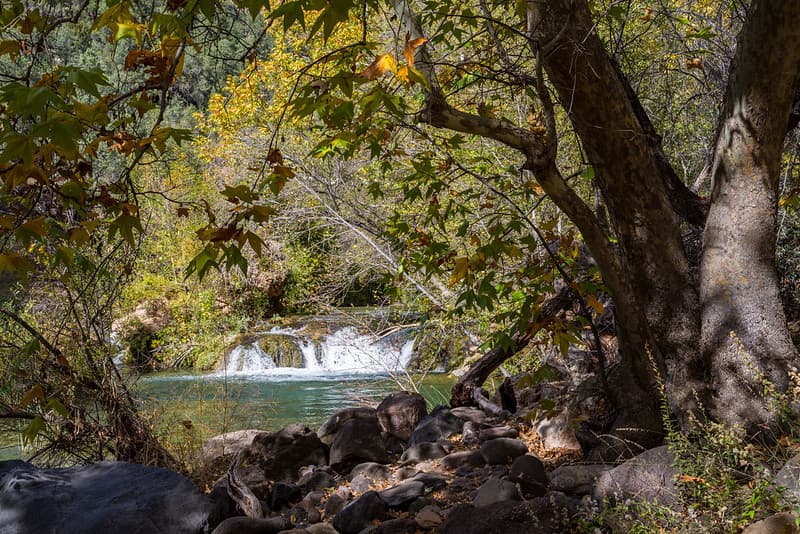Waterfall Trail (November 14, 2017)