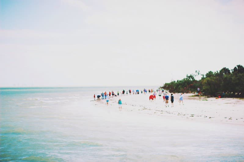 Group of People on Beach