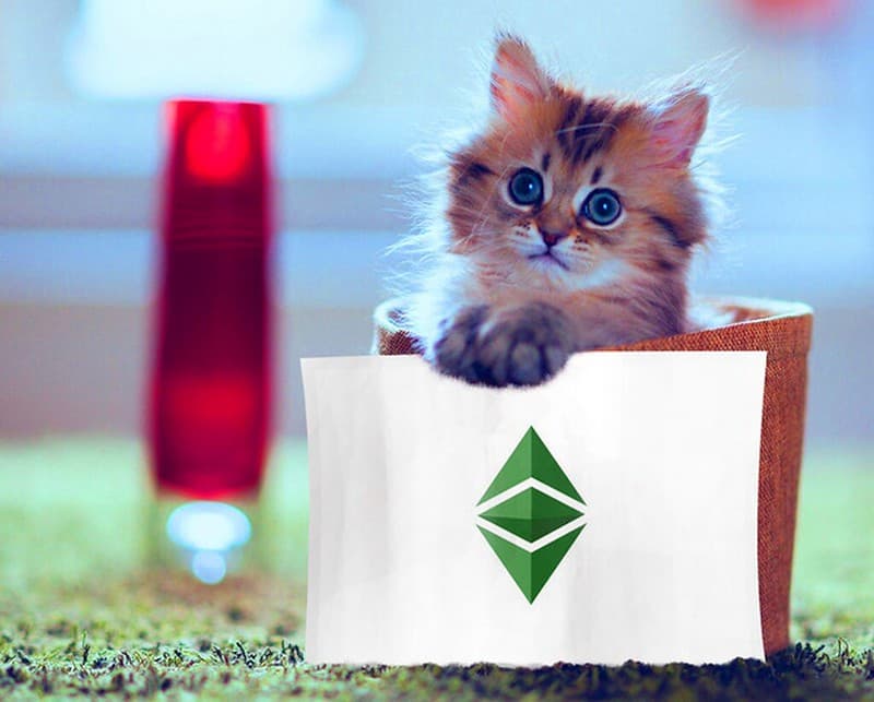ETC Logo Design - Sweet Little Cat