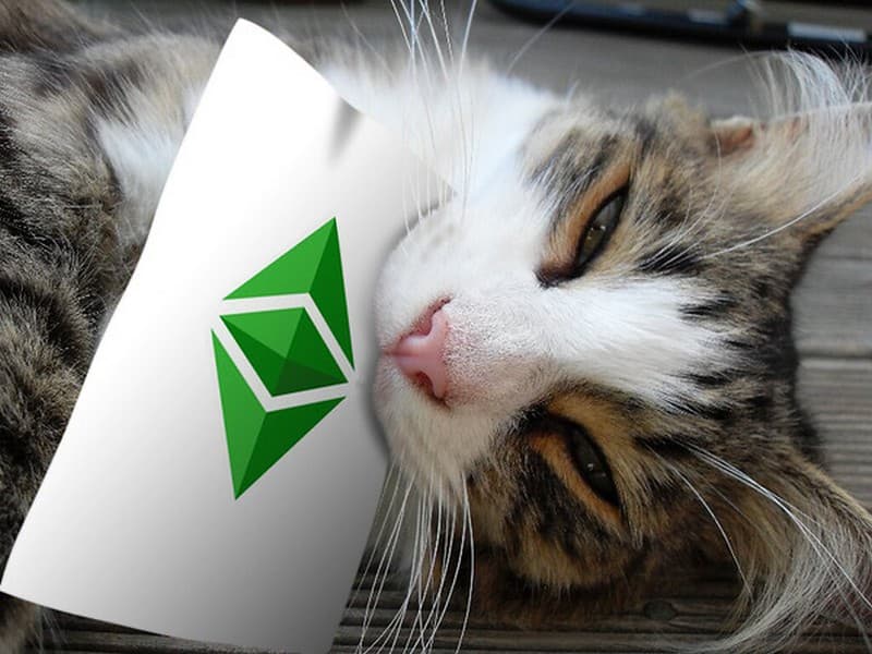 Ethereum Classic Wallpaper - Tiger Cat