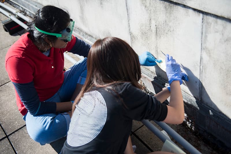 Anc, arlington, biofilm
